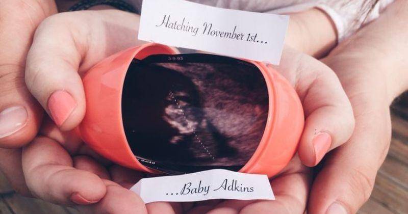 Pinterest.com/labellaroseb